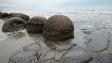 Pasifik Okyanusu dalgaları etkileyici Moeraki boulders
