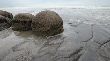 Pasifik Okyanusu dalgaları etkileyici Moeraki boulders