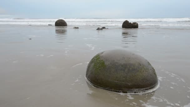 Moeraki boulders ve vlnách Pacifiku — Stock video