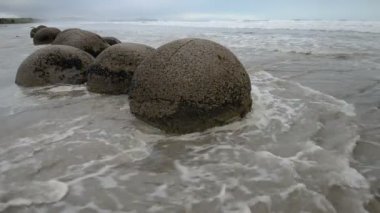 Pasifik Okyanusu dalgaları etkileyici Moeraki boulders