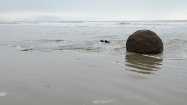 Pasifik Okyanusu dalgaları Moeraki boulders