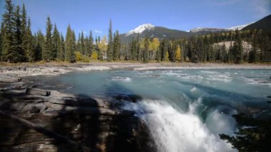 Athabasca nehir ve Athabasca sonbahar güneşli sonbahar görünümü