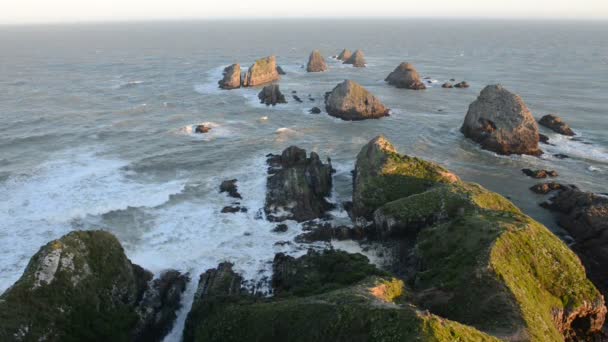El sol poniente ilumina rocas y olas de Nugget Point — Vídeo de stock