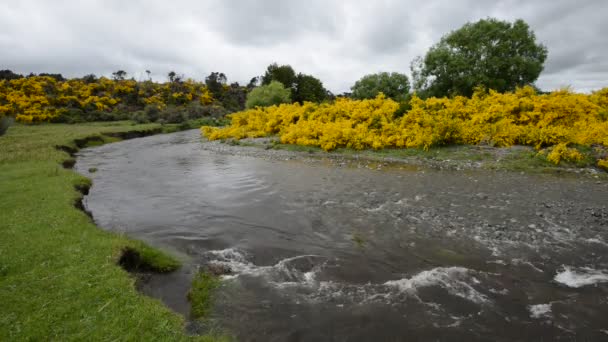 Río Eglinton se inclina sobre el valle de pastizales bajo nubes deprimentes — Vídeo de stock