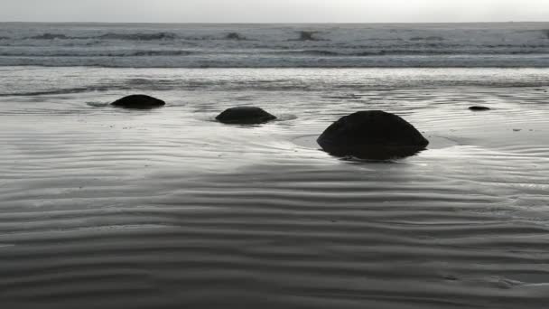 Moeraki-Felsbrocken, Brandung und Wellen am leeren Neuseeland-Strand — Stockvideo