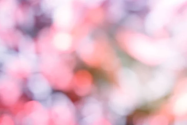 pembe ve mor arka plan bulanık odak bokeh ışık ile 