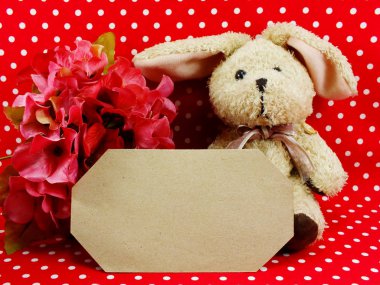 tavşan bebek ile yer kopya arka planı için