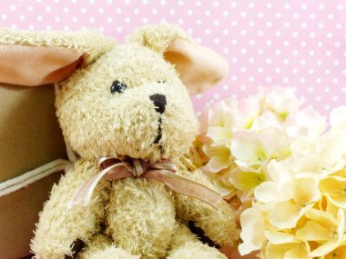 Tavşan Oyuncak ve Hediyelik yakın kutusu