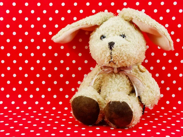 Muñeca Conejo Con Espacio Para Copia Fondo —  Fotos de Stock
