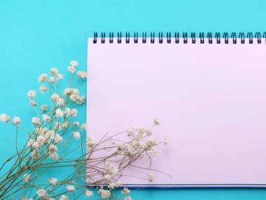 Boş Kağıt arka plan ve Kuru çiçekler