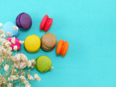 Fransızca macaroons kurutulmuş çiçek ve kopya alan arka plan ile