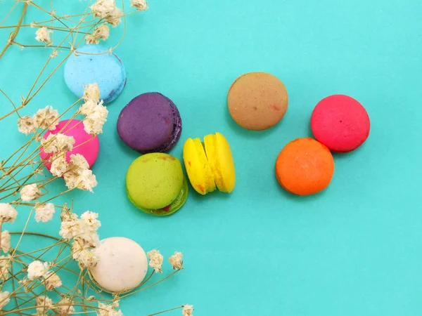 French Macaroons Dried Flower Copy Space Background — Stock Photo, Image