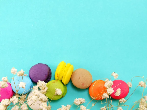French Macaroons Dried Flower Copy Space Background — Stock Photo, Image