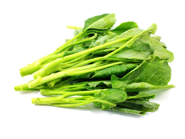 白い背景に分離された緑ケール野菜 — ストック写真
