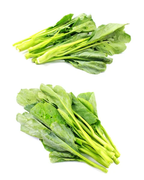 Groene Chinese Boerenkool Geïsoleerd Witte Achtergrond — Stockfoto