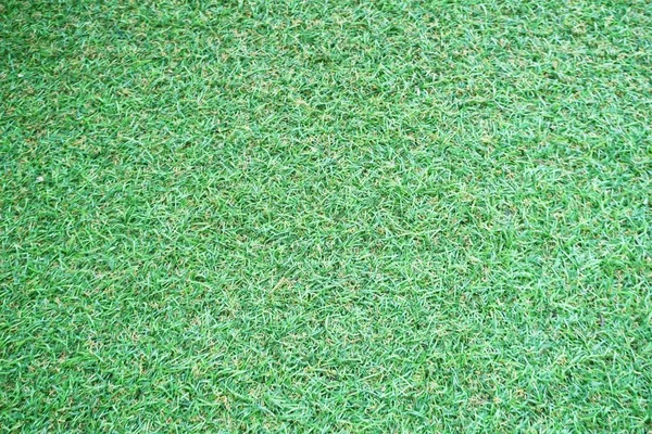 Artificial Grass Field Top View Texture — Stock Photo, Image