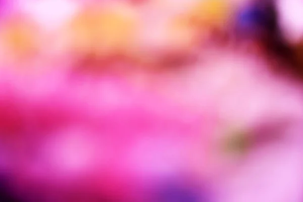 散景灯粉红色节日情人典雅抽象背景 — 图库照片