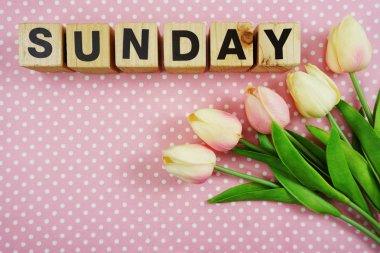 Salı alfabesi harfleri alanı kopyası üzerinde pembe polka dot arka plan ile