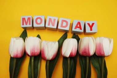 Pazartesi alfabesi harfleri sarı zemin üzerine