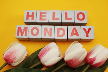 mutlu Pazartesi alfabesinde geçerli olan harfleri sarı zemin üzerine