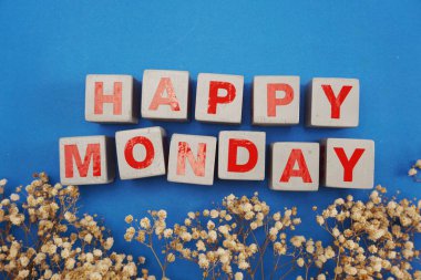 mutlu Pazartesi alfabesinde geçerli olan harfleri alanı kopyası üzerinde mavi arka plan ile