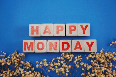 mutlu Pazartesi alfabesi harfi ile mavi arka plan üzerinde kuru çiçek