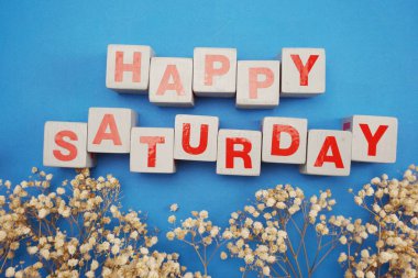 mutlu Cumartesi alfabesi harfi ile mavi arka plan üzerinde kuru çiçek