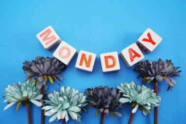 Pazartesi alfabesi harfleri ile mavi arka plan üzerinde papatya çiçek