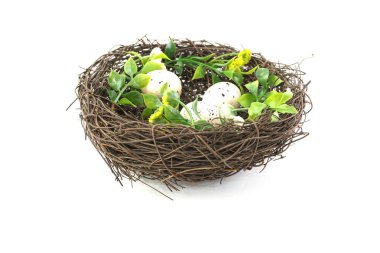 Kuş yuvası beyaz arkaplanda izole edildi