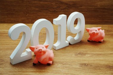 domuz kavramı mutlu yeni yıl arka plan 2019 yılı 