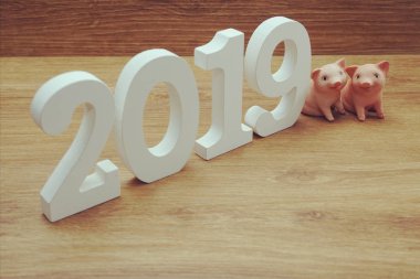 domuz kavramı mutlu yeni yıl arka plan 2019 yılı 