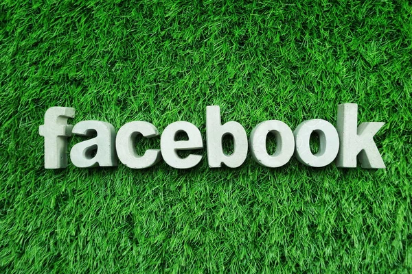 Facebook Hecho Concreto Alfabeto Vista Superior Sobre Hierba Verde —  Fotos de Stock