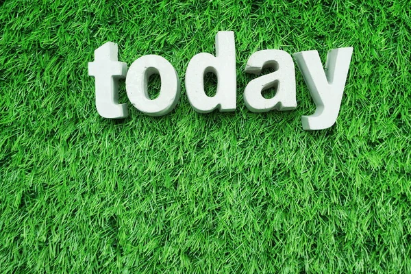 Hoy Palabra Alfabeto Letra Top View Green Artificial Grass Background —  Fotos de Stock