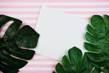 pembe bir arka plan üzerinde tropikal yaprak monstera ve alanı Kopyala