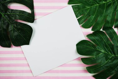 pembe bir arka plan üzerinde tropikal yaprak monstera ve alanı Kopyala