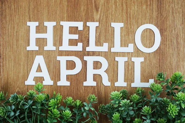 Hello April Alphabet Letters Green Plant Wooden Background — Stock Photo, Image