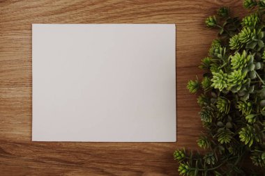 ahşap arka plan ve yeşil bırakın dekorasyon kopyalamak için alan boş arka plan