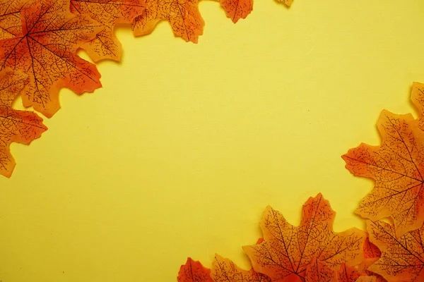 Autumn maple leaves background with Space for copy on yellow background