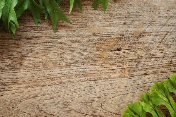 热带绿色离开植物与空间副本的木制背景 — 图库照片