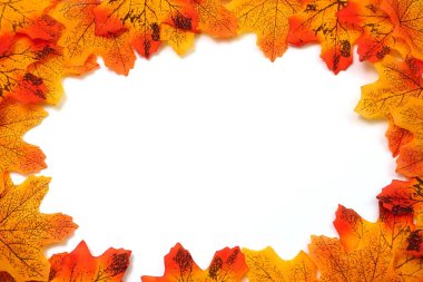 Beyaz arka plan üzerinde uzay kopyası ile Turuncu Akçaağaç Sonbahar yaprak sınır