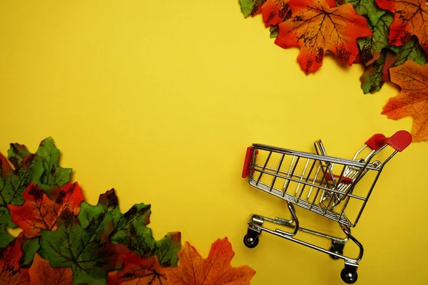 Carro Compras Sobre Fondo Amarillo Con Borde Hojas Otoño Amarillo —  Fotos de Stock