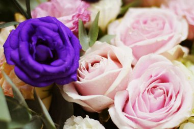 Yakın güzel Pembe gül çiçek buketi