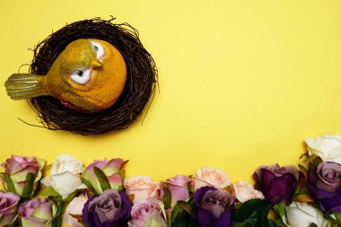 sarı arka plan üzerinde uzay kopyası ile renkli kuş ve gül çiçek