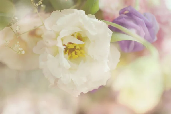 Nahaufnahme Schöne Weiße Rose Blumenstrauß — Stockfoto