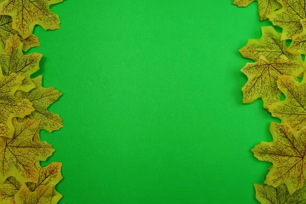 Herfst Esdoorn Bladeren Achtergrond Met Ruimte Voor Kopiëren Groene Achtergrond — Stockfoto