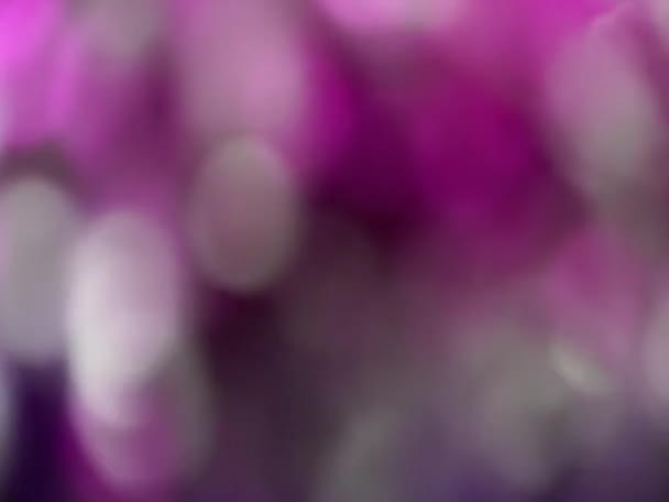 Luz borrosa abstracta púrpura luces bokeh fondo de rotación — Vídeo de stock
