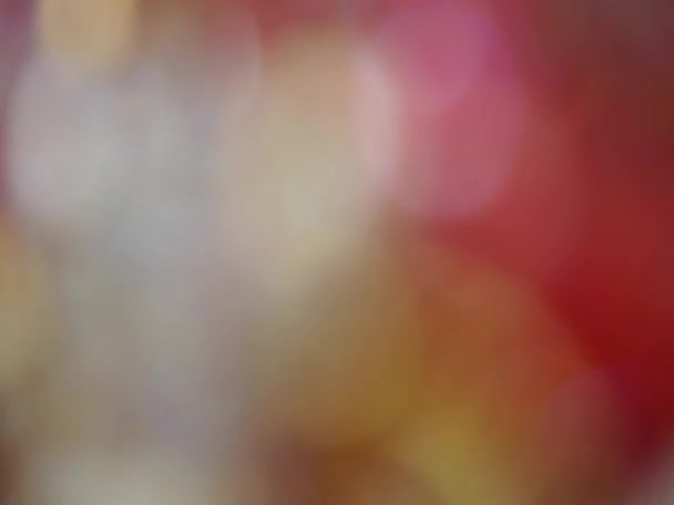 Червоний Боке Запалює Святковий Елегантний Абстрактний Фон — стокове відео