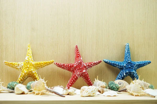 Colorful Starfish and seashell marine decoration with space copy on wooden background