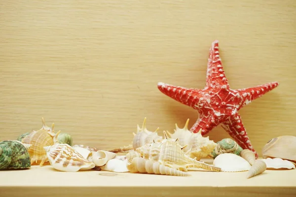 Rode Zeester Seashell Marine Decoratie Met Ruimte Kopie Houten Achtergrond — Stockfoto