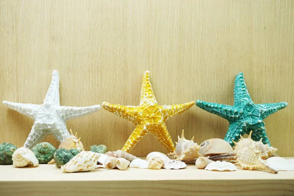 Colorful Starfish and seashell marine decoration with space copy on wooden background